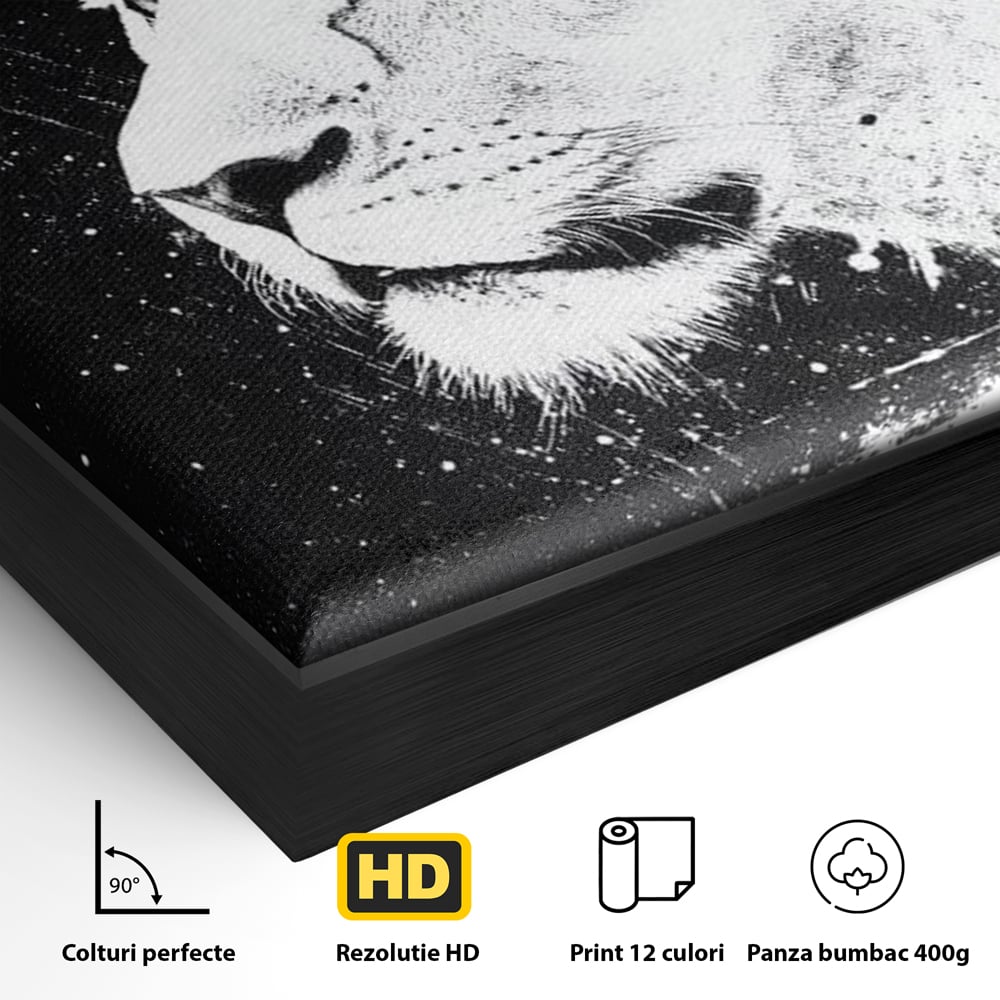 Detaliu al suprafetei: tablou canvas cu leoaica in profil, in rama de aluminiu negru